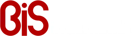 Bis Ingeniería